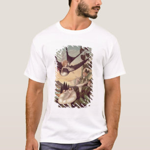 Illustration till "Thumbkinetta", vid den Hans T-shirt