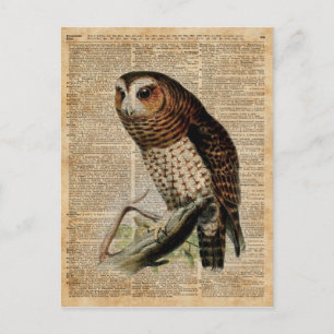 Illustration Zoology Dictionary Art i uggla Vintag Vykort