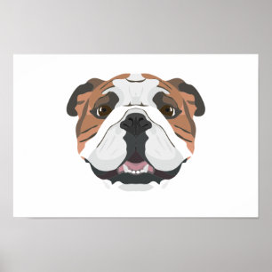 Illustrationengelskabulldogg Poster
