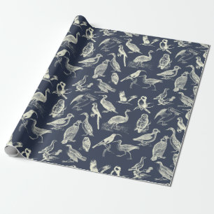 Illustrationer av antika fåglar Engravings Cream-f Presentpapper