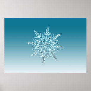 illustrationer av snöflingan, kristallisera vinter poster