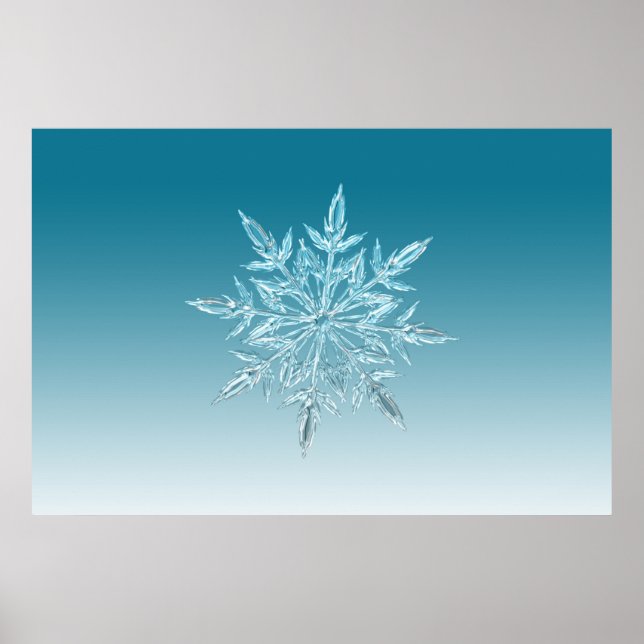 illustrationer av snöflingan, kristallisera vinter poster (Framsidan)