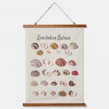 Illustrationer av väggteaterbruk Antique Seashells