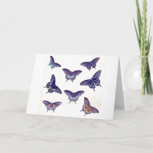 Illustrationsbild av vintage Blue Butterflies Kort