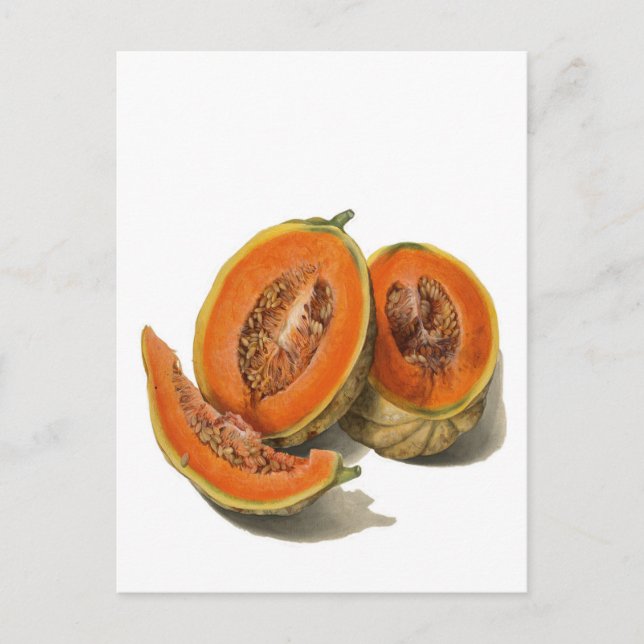 Illustrationskort för skivad cantaloupe-melone vykort (Framsida)