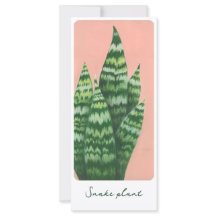 Illustrationskort för Snake Plant Gouache