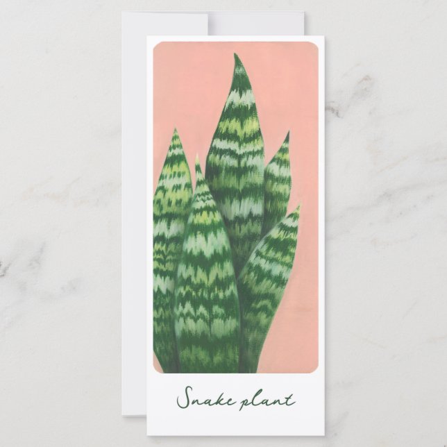 Illustrationskort för Snake Plant Gouache (Framsida)