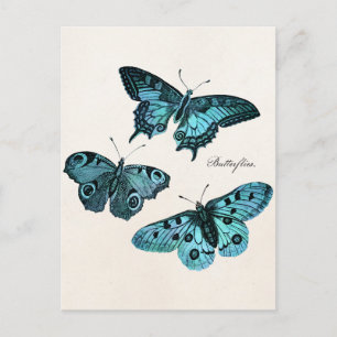 Illustrationsmall för vintage Teal Blue Butterfly Vykort