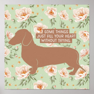 Illustrationsoffert för Dachshund Doxie Teckel Äls Poster