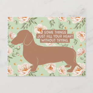 Illustrationsoffert för Dachshund Doxie Teckel Äls Vykort