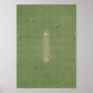 Illustrerad Cricket Pitch från ovan Poster