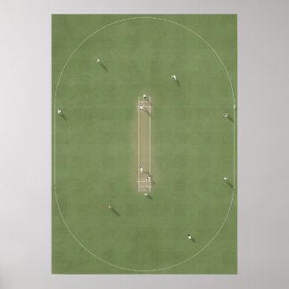 Illustrerad Cricket Pitch från ovan Poster