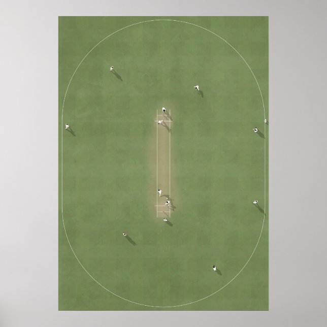 Illustrerad Cricket Pitch från ovan Poster (Framsidan)