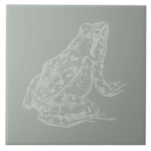 Illustrerad Groda ANPASSNINGSBAR FÄRG Frog Art Kakelplatta