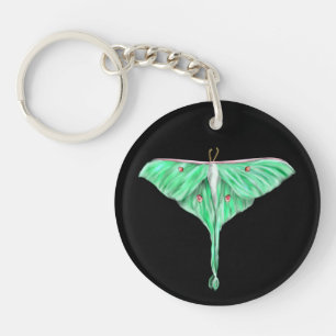 Illustrerad Grönt Lunar Moth