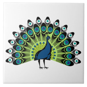 illustrerad Peacock Kakelplatta