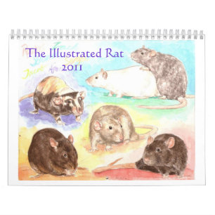 Illustrerad råttaporträttkalender 2011 kalender