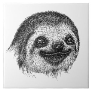 Illustrerad Sloth Ansikte Kakelplatta