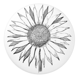 Illustrerad solros knopp