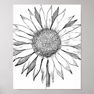Illustrerad solros poster