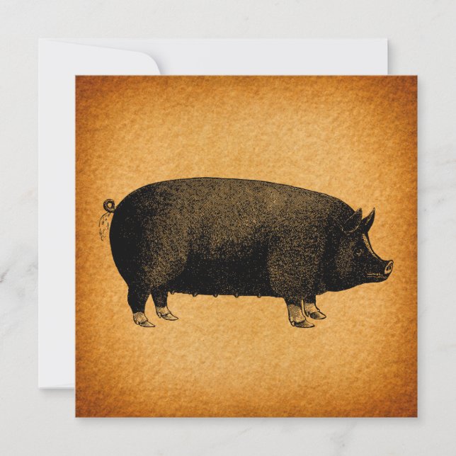 Illustrerad Vintage Gris Rustic Art (Framsida)