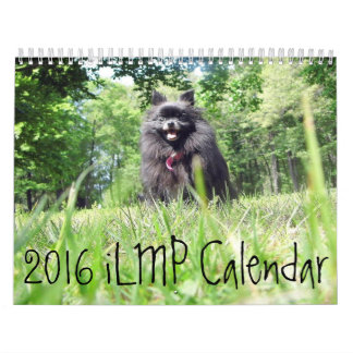 iLMPkalender 2016 Kalender