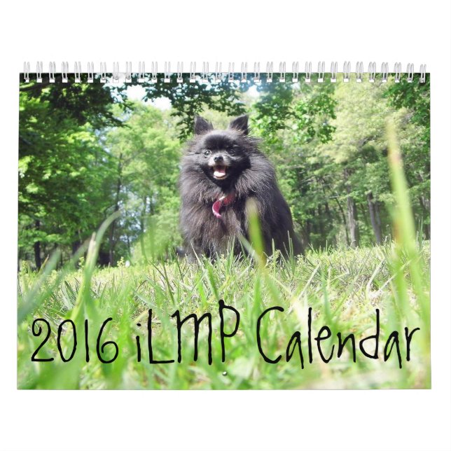 iLMPkalender 2016 Kalender (Omslag)