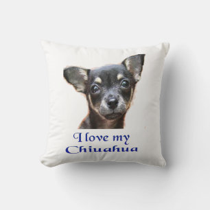 Ilovemychiwawatee Kudde