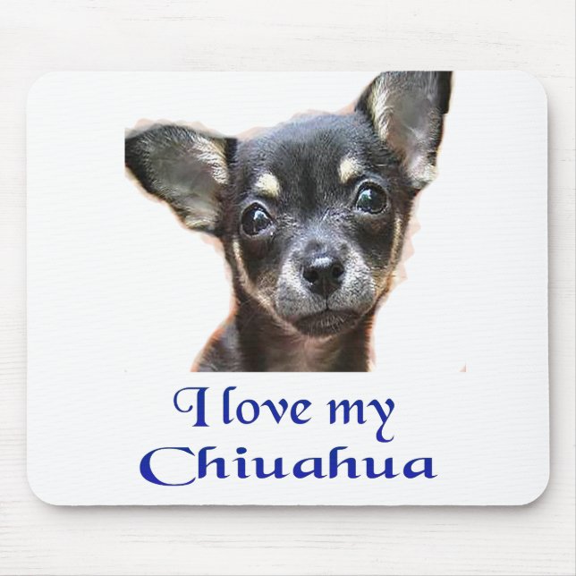 Ilovemychiwawatee Musmatta (Framsidan)