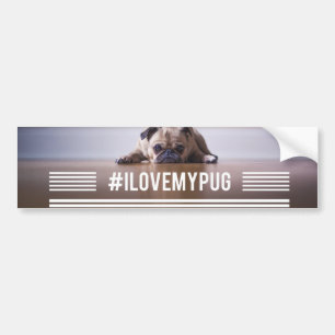 #ILoveMyPughashtagbildekal Bildekal