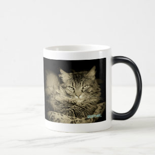 ILSKALEDNING HAR MISSLYCKATS Grumpy ängel Magisk Mugg