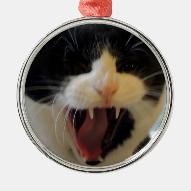 Ilsken katt julgransprydnad metall (Framsidan)