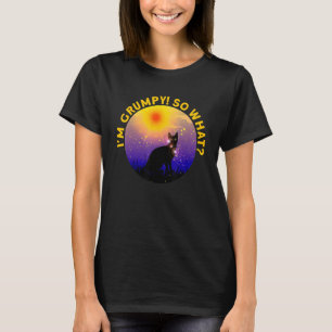 Ilsken katt meme Jag är grinig så vadå 2 T Shirt