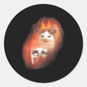 Ilsken Katt Meme Rolig Dum Katt Kattälskare Humor Runt Klistermärke