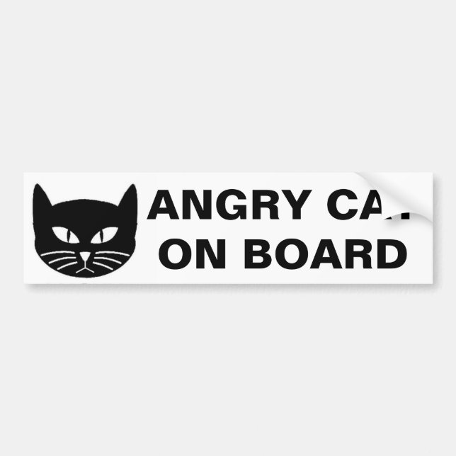 ILSKEN KATT OMBORD BILDEKAL (Framsidan)