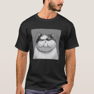 ilsken katt, rolig katt t shirt