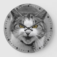 Ilsken katt