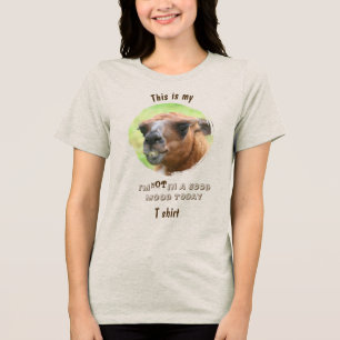 Ilsken Lama Dåligt Humör Roligt T Shirt
