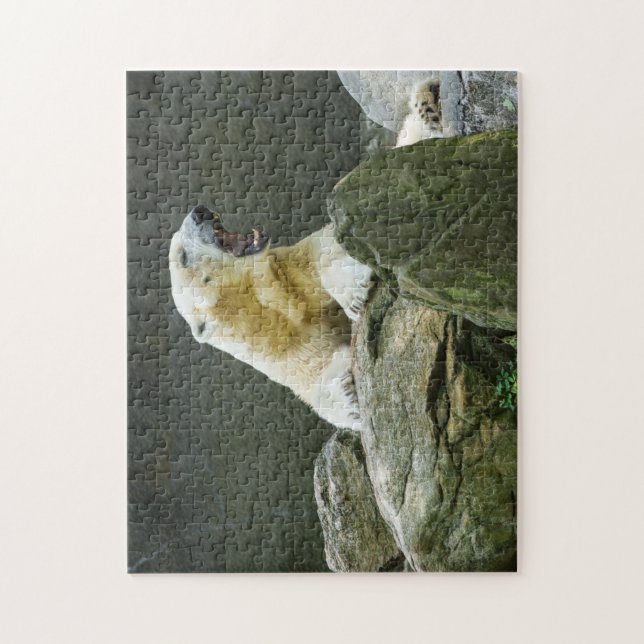 Ilsken polar björn pussel (Vertikal)