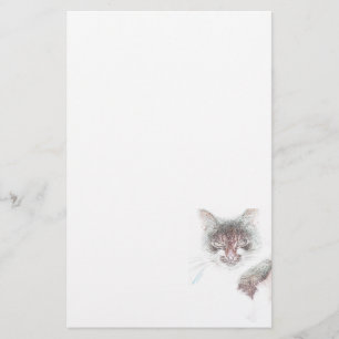 Ilsken Söt Katt Ansikte Skiss Brevpapper