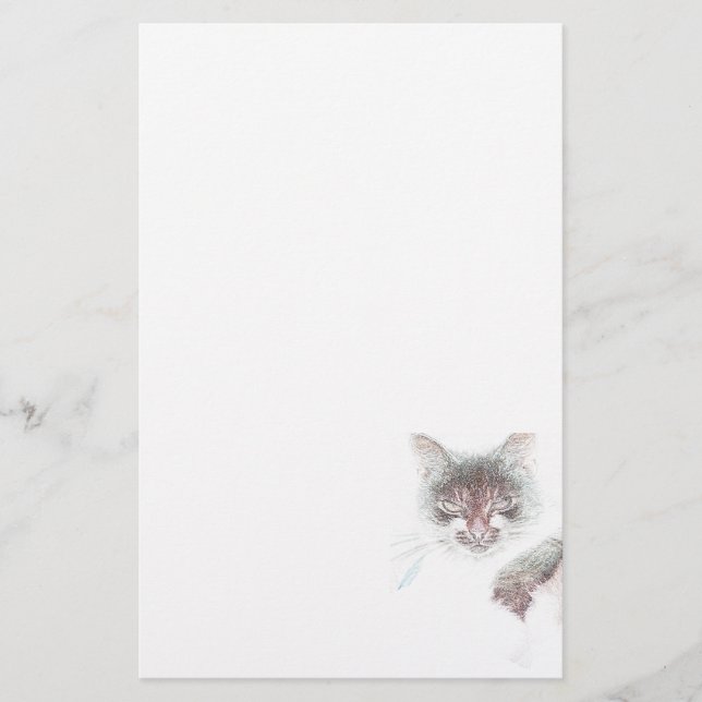 Ilsken Söt Katt Ansikte Skiss Brevpapper (Framsida)
