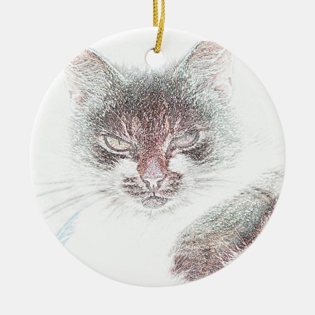 Ilsken Söt Katt Ansikte Skiss Julgransprydnad Keramik (Framsidan)