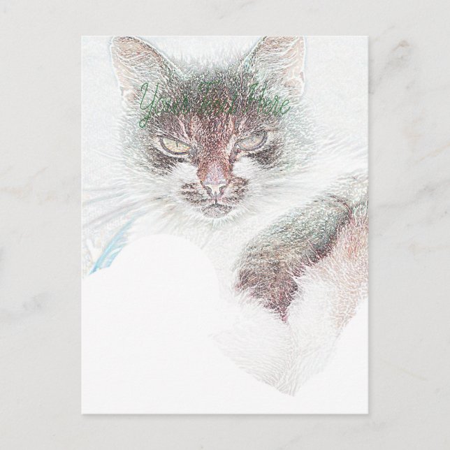 Ilsken Söt Katt Ansikte Skiss Vykort (Framsida)