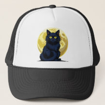 Ilsken svart katt