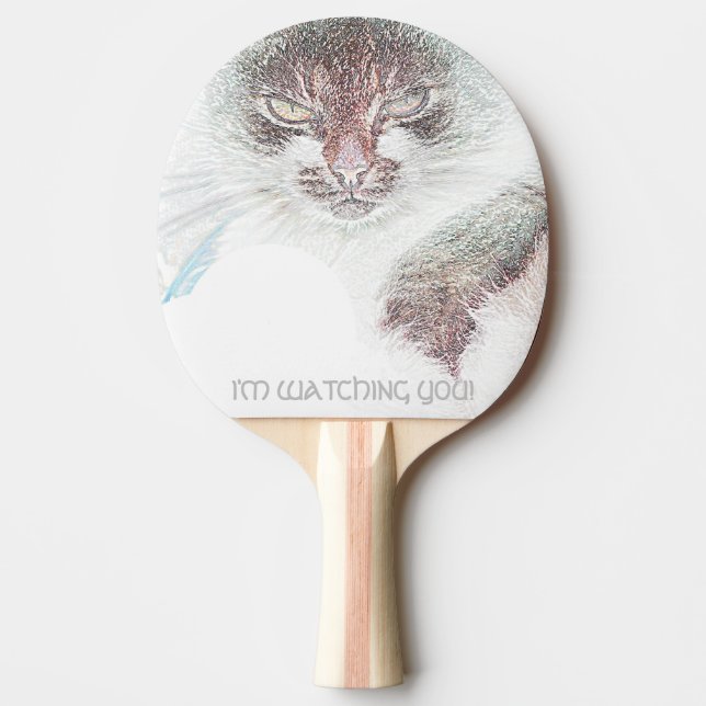 Ilsket Söt Katt Tittar På Dig Pingisracket (Framsidan)