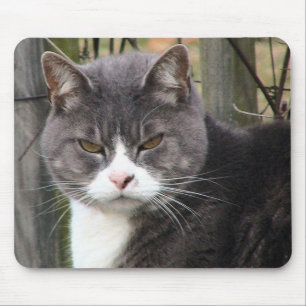 ilskna kattmousepads musmatta