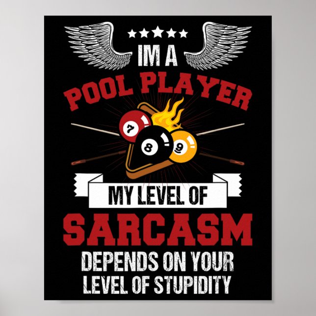 Im A Bassäng Player funny Sarcasm Billiard och Sno Poster (Framsidan)