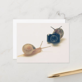 I'm a photographer. vykort