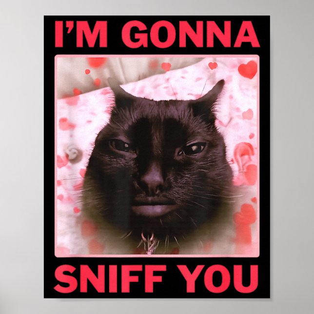 I'm Gonna Sniff You Funny Raunchy Brainrot Meme Ge Poster (Framsidan)