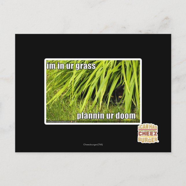 im i gräs vykort (Framsida)